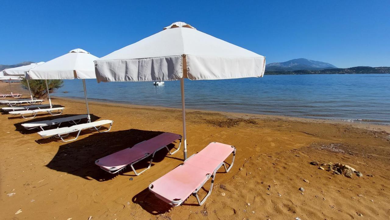 Alekos Beach Houses-Alekos Beach Complex Lixouri Extérieur photo