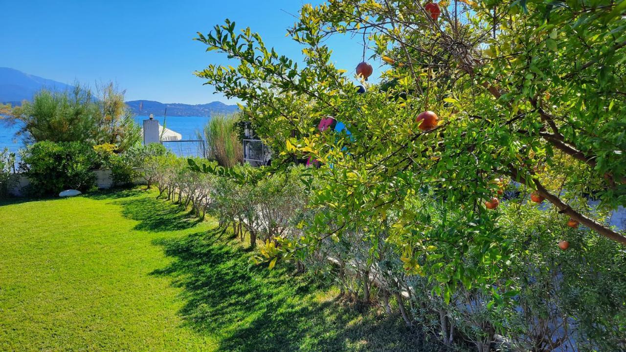 Alekos Beach Houses-Alekos Beach Complex Lixouri Extérieur photo